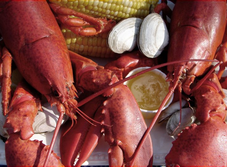 A Taste of Tradition: The Ultimate Guide to Food Tours of New England