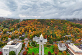 Autumn foliage