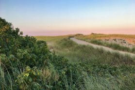 Beaches in New England, Cape Cod